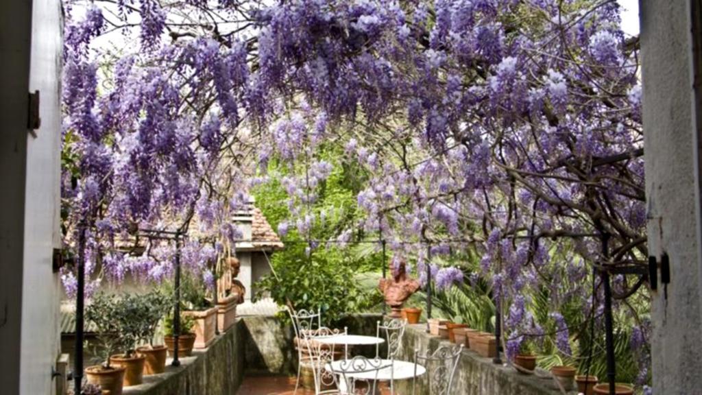 Locanda Sant' Agostino Lucques Extérieur photo